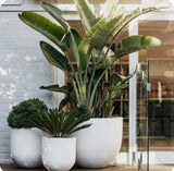 Kingston Landscape Large Flower Pot