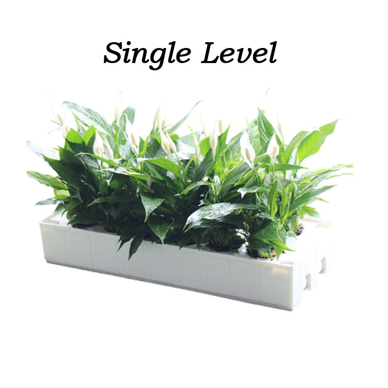 Hydroponic System