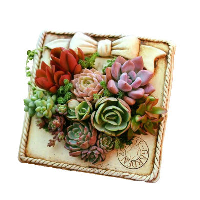 Photo Frame Pots
