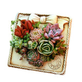 Photo Frame Pots