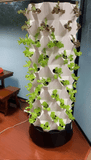 Vertical Tower Hydroponic System