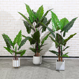 Hollis Alocasia Artificial Plant