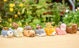 Cute Sleeping Animals Mini Pot
