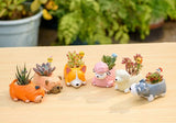 Cute Sleeping Animals Mini Pot