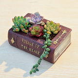 Cute Book Flower Pot