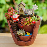 Creative Succulent Planter