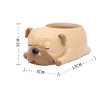 Cute Sleeping Animals Mini Pot