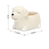 Cute Sleeping Animals Mini Pot