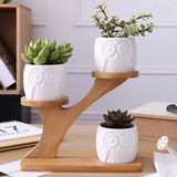 Treetop Shaped Bamboo Shelf Pot