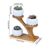 Treetop Shaped Bamboo Shelf Pot