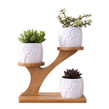 Treetop Shaped Bamboo Shelf Pot