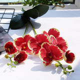 Luxury Latex Orchid with leaves