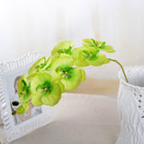 Artificial Silk White Orchid Flowers