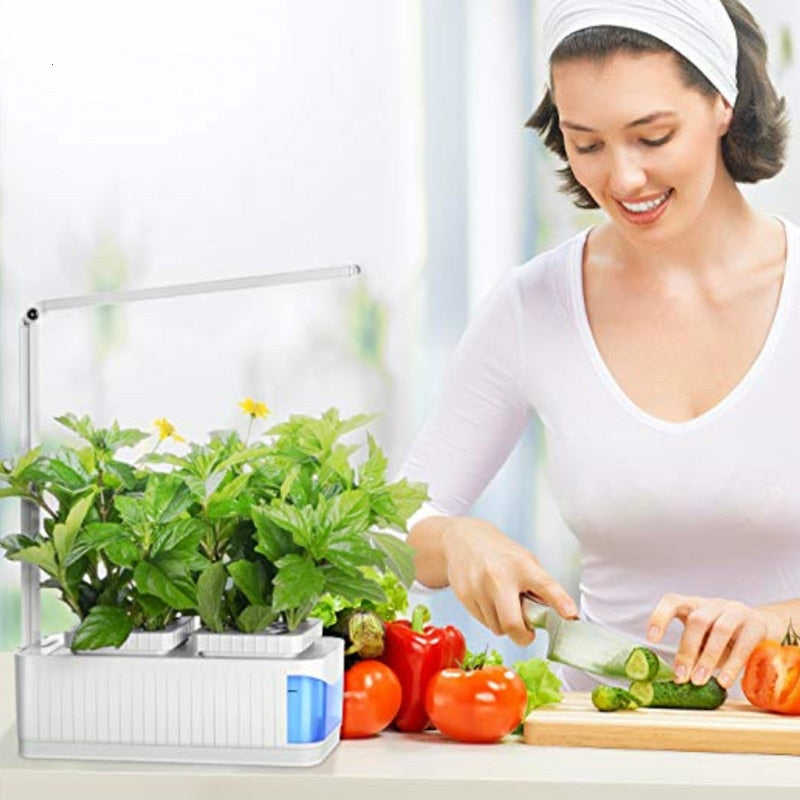 Indoor Hydroponic
