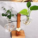 Glass Vase Planter