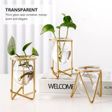 Decorative Glass Vase