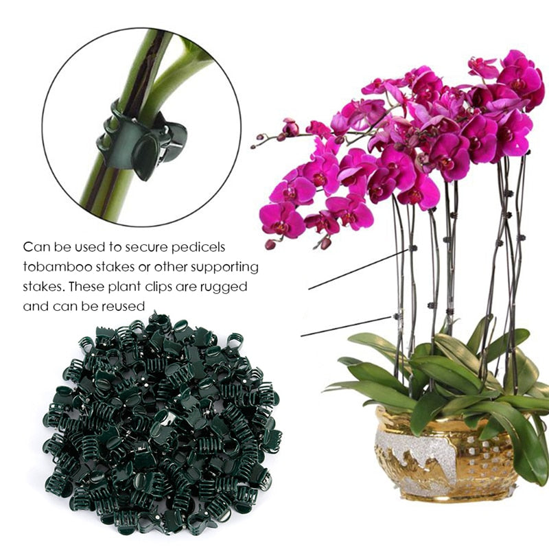100PCS Plastic Plant Support Clips