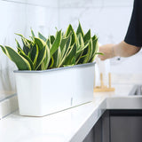 Self-Watering Planter Pots