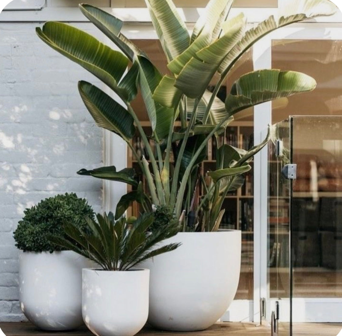 Kingston Landscape Large Flower Pot