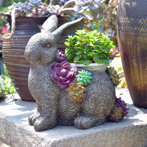 Rabbit Flower Pots