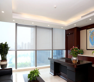 Dumi DIY Roller Blinds