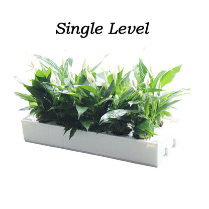 Hydroponic System