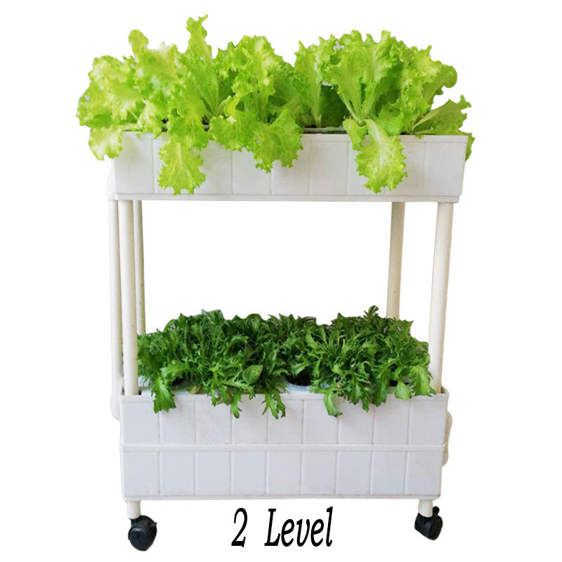 Hydroponic System