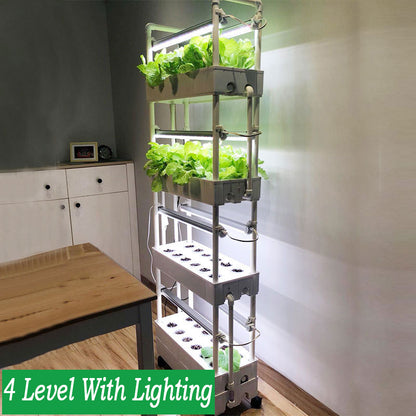 Hydroponic System