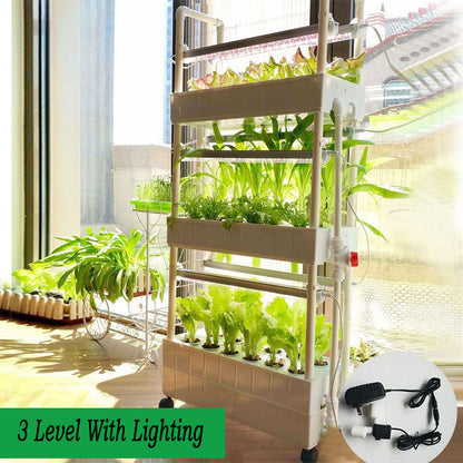 Hydroponic System