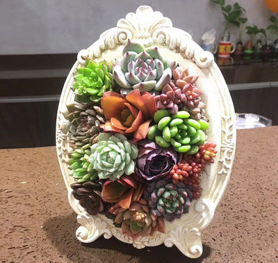 Photo Frame Pots