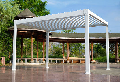 Maxon Louvre Pavilion