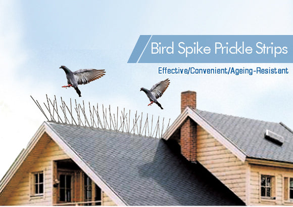 Bird Spike Prickle Strips