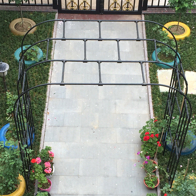 Trellis For Climbing Plants