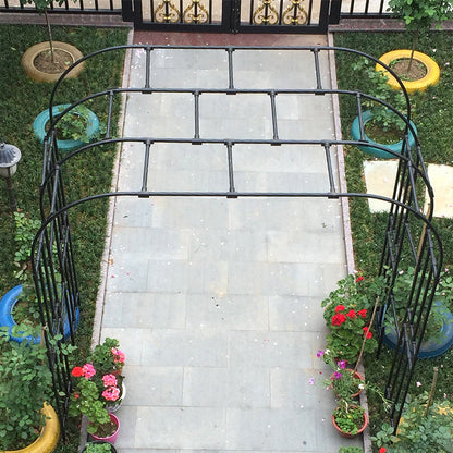 Trellis For Climbing Plants