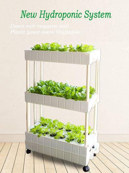 Hydroponic System