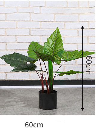 Hollis Alocasia Artificial Plant