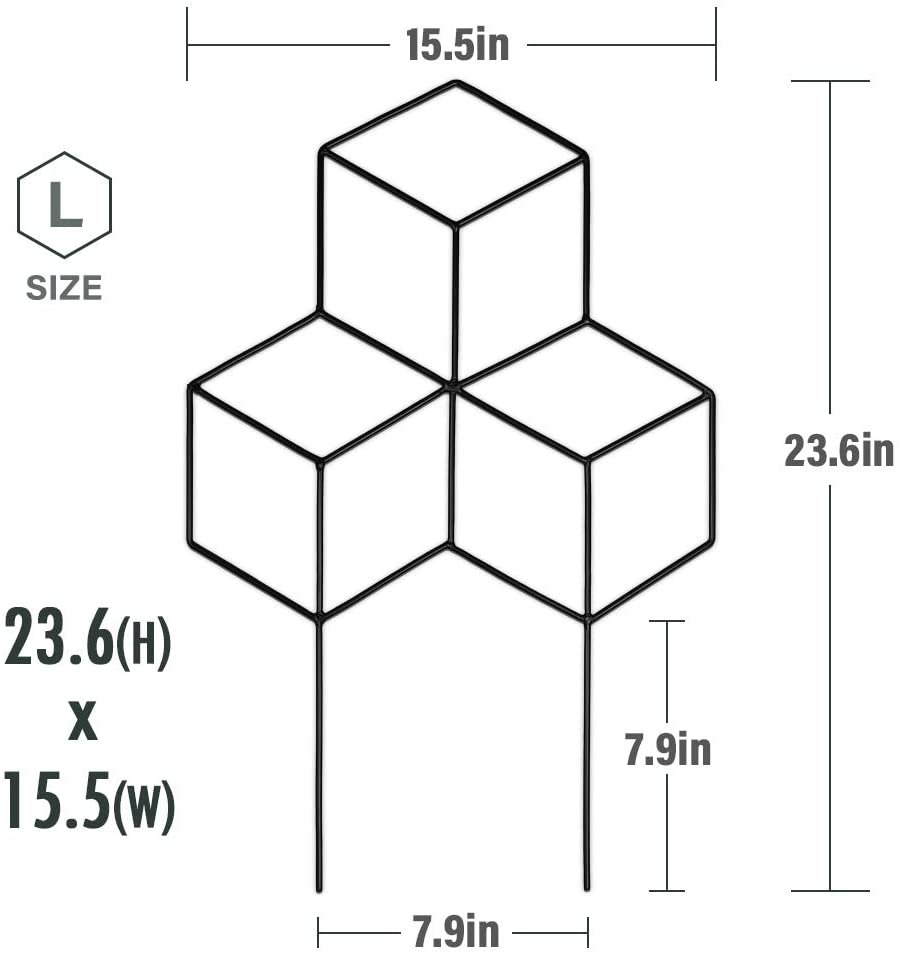Lattice Shaped Trellis