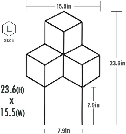 Lattice Shaped Trellis