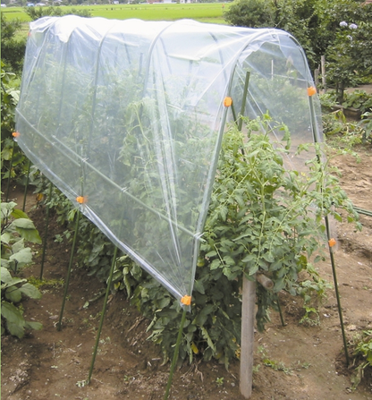 Garden Flower Trellis