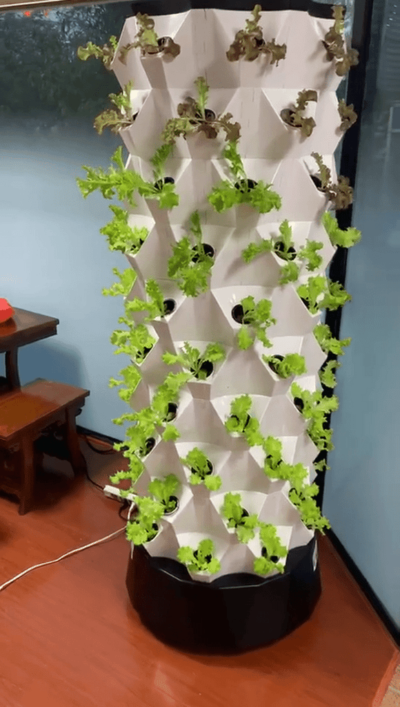 Vertical Tower Hydroponic System