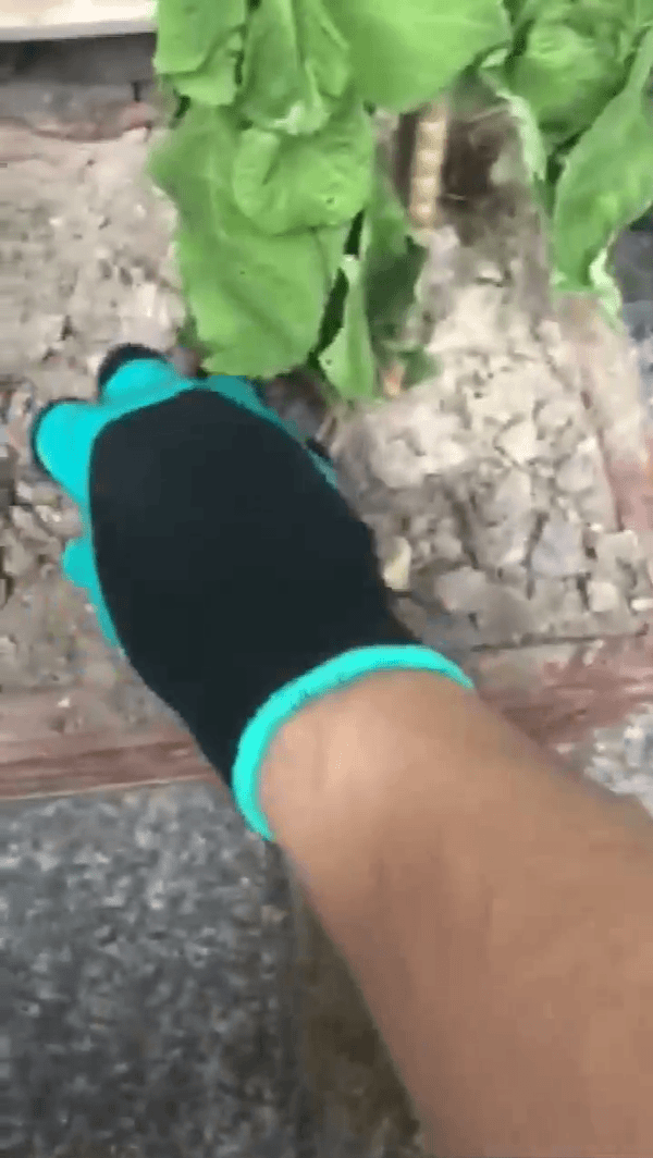 Durable Waterproof Hand Claw Garden Rubber Gloves