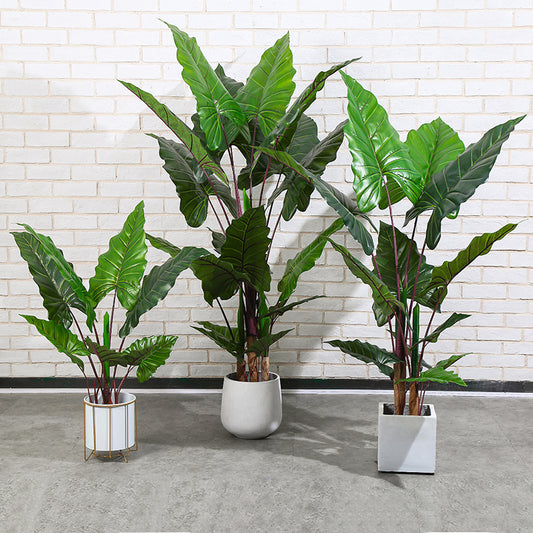 Hollis Alocasia Artificial Plant