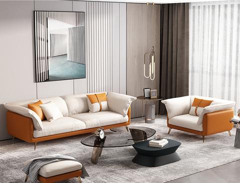 Modern Indoor Sofa