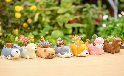 Cute Sleeping Animals Mini Pot