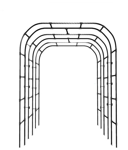 Trellis For Climbing Plants