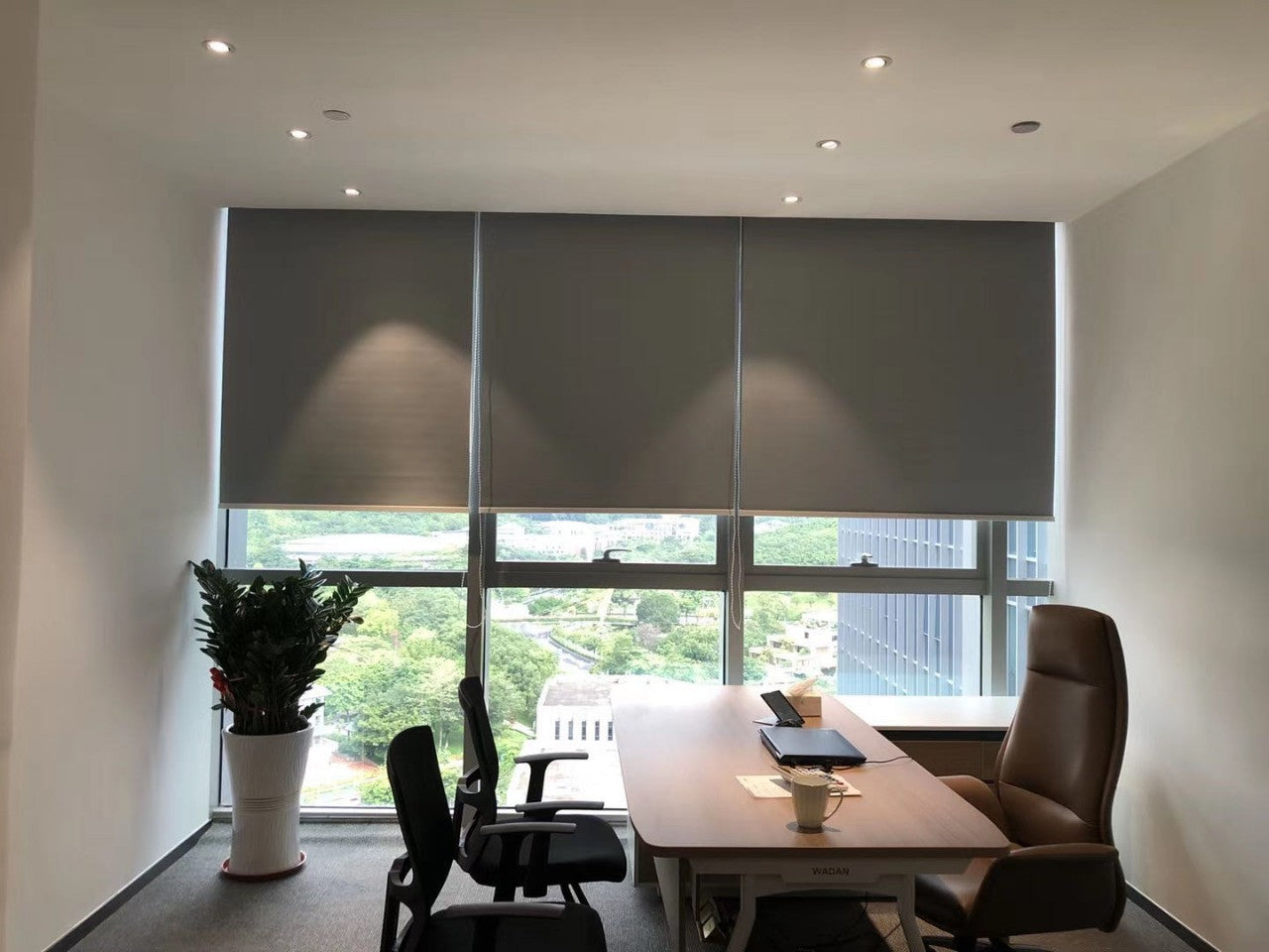 Rayvale 100% Opaque Roller Blinds