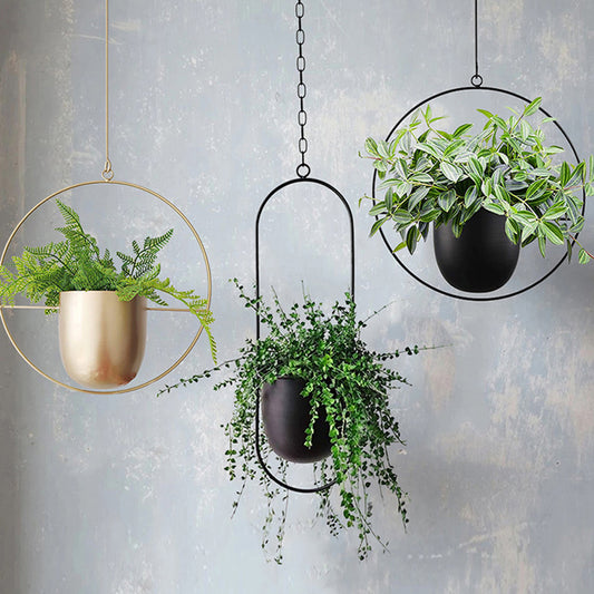 Decorative Hanging Flower Pot