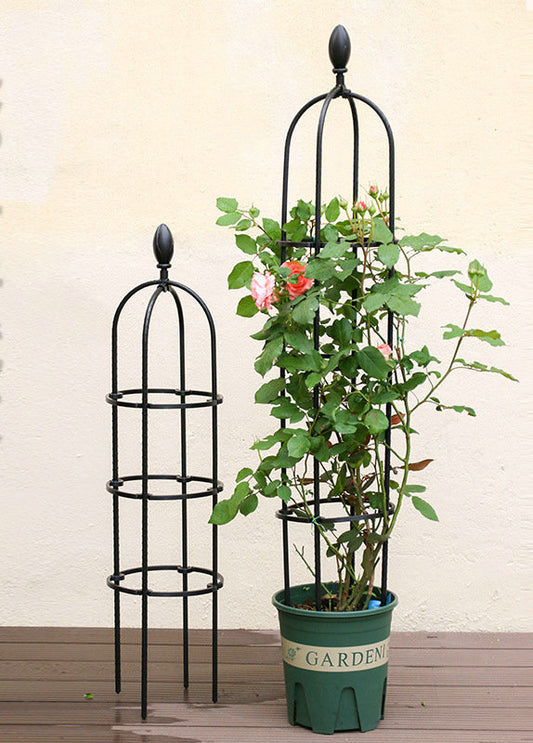 Beautiful Climbing Plant Frame