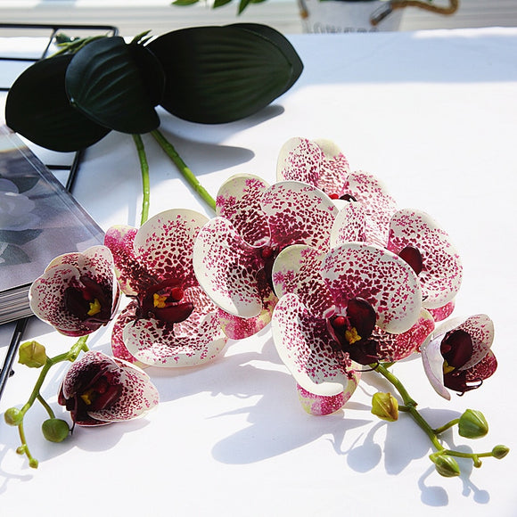 Luxury Latex Orchid with leaves