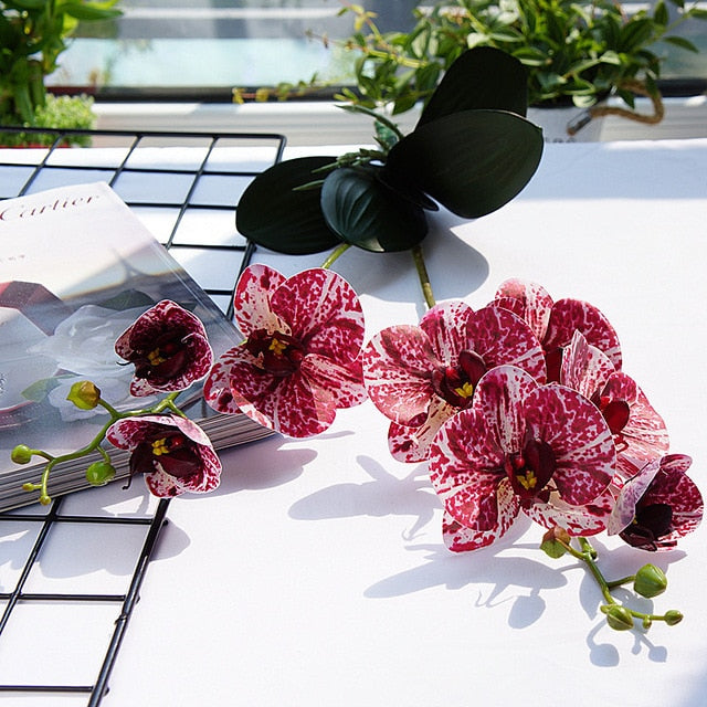 Luxury Latex Orchid with leaves